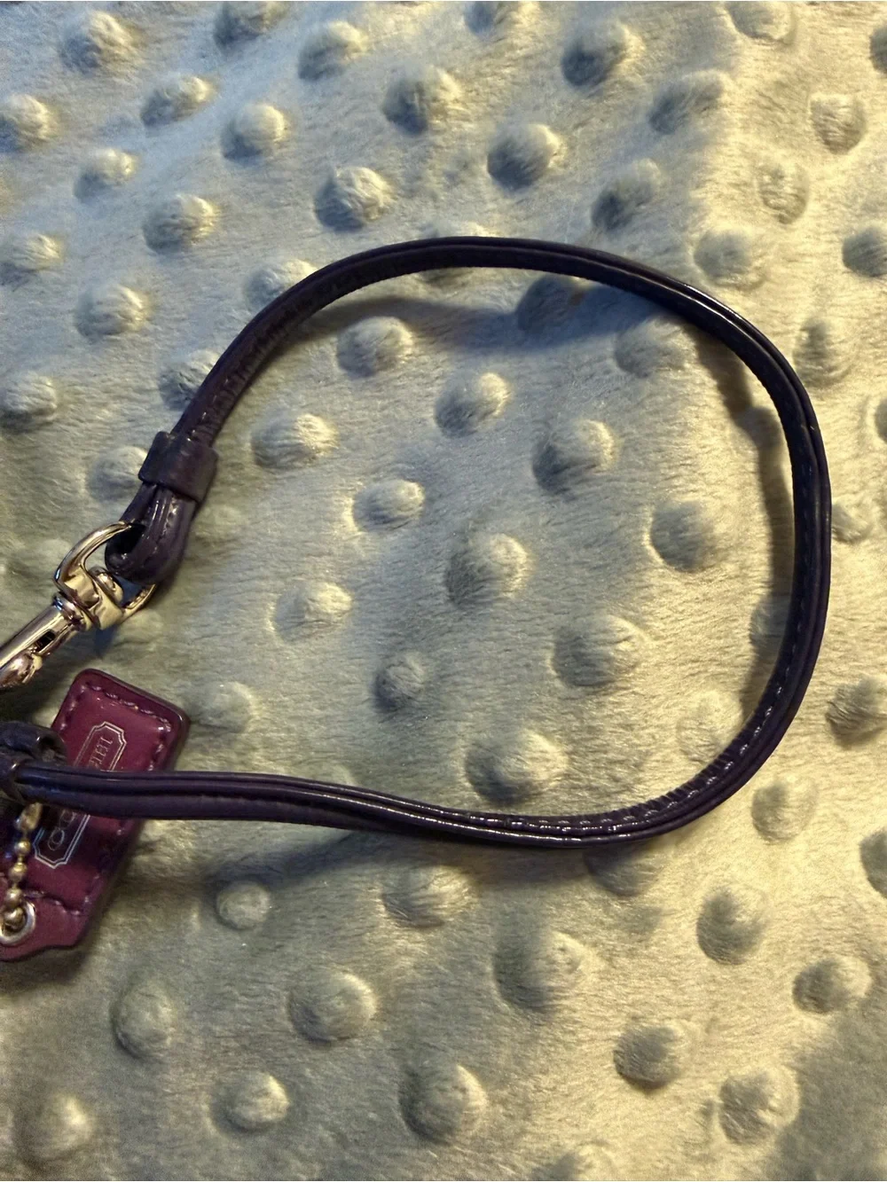 Coach Purple Plaid Poppy Wristlet iPod/Phone Case with Strap